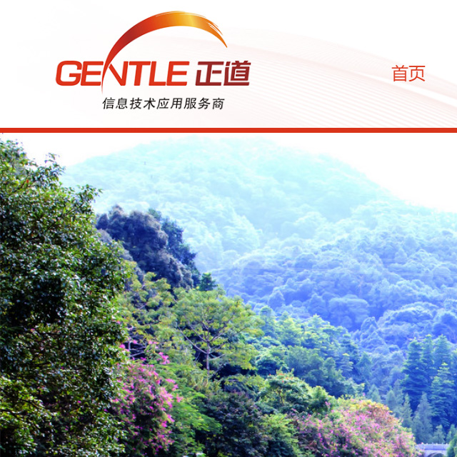 正道科技集团